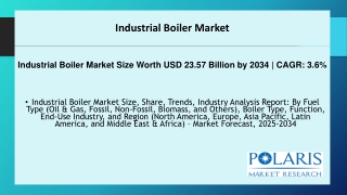 Industrial Boiler Market.