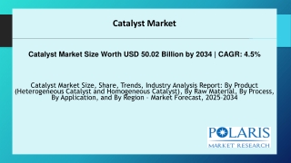 Catalyst Market