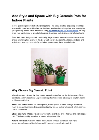 Add Style and Space with Big Ceramic Pots for Indoor Plants