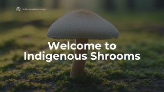 Welcome to Indigenous Shrooms (1)