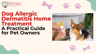 Dog Allergic Dermatitis Home Treatment A Practical Guide for Pet Owners
