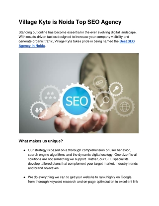 Village Kyte is Noida Top SEO Agency
