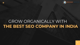 Get Organic Leads From The Best SEO Company in India
