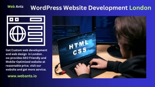 WordPress Development Services