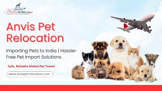 Importing Pets to India | Hassle-Free Pet Import Solutions