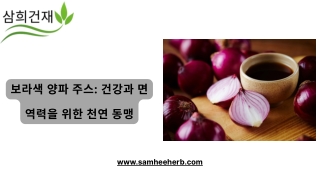 보라색 양파 주스: 건강과 면역력을 위한 천연 동맹