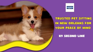 Trusted Pet Sitting in New Orleans for Your Peace of Mind