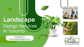 Landscape Design Caledon