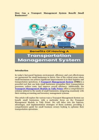 How Can a Transport Management System Benefit Small Businesses
