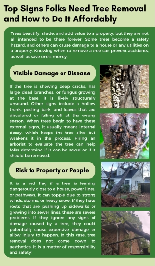 Top Signs Folks Need Tree Removal and How to Do It Affordably