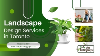 Tree Installation Mississauga