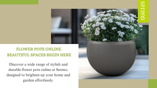 Explore and Shop Trendy Flower Pots Online