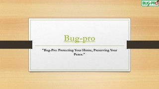 Top Pest Control Companies in Nigeria – Trusted Solutions by Bug-Pro