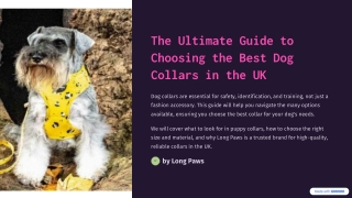 The Ultimate Guide to Choosing the Best Dog Collars in the UK