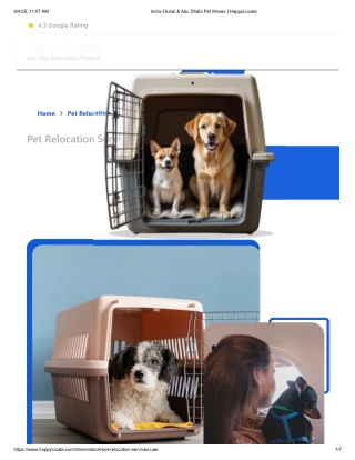 India–Dubai & Abu Dhabi Pet Moves  HappyLocate pdf