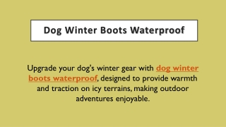 Dog Winter Boots Waterproof