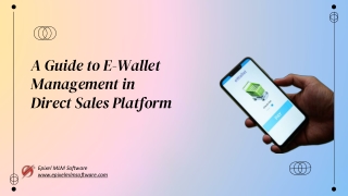 Navigating E-Wallet Management in Direct Sales