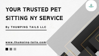 Your-Trusted-Pet-Sitting-NY-Service