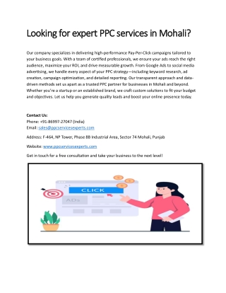 Looking for expert PPC services in Mohali
