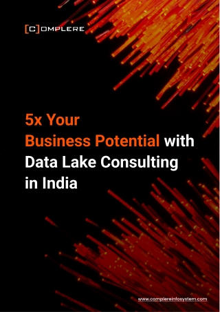 5x Your Business Potential with Data Lake Consulting in India