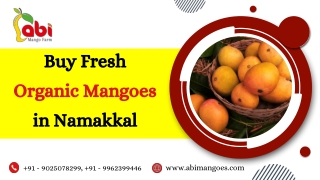 Buy-Fresh-Organic-Mangoes-in-Namakkal