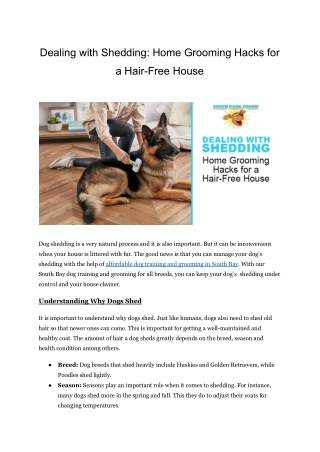 Dealing with Shedding: Home Grooming Tips for a Hair-Free Home