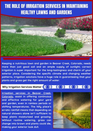 Professional Irrigation System Installation Solutions