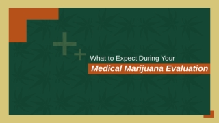 Quality Marijuana for Everyday Wellness