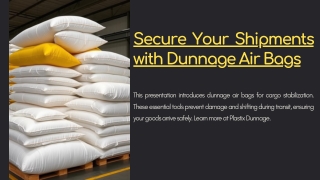 Dunnage Air Bags