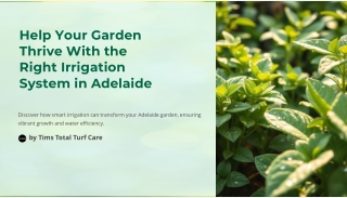 Help Your Garden Thrive With the Right Irrigation System in Adelaide