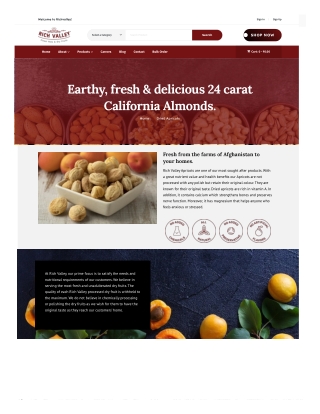 Premium Bulk Apricot Fruit  Shop Online for Best Quality