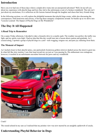 Lessons Learned: The Impact of Playful Dogs on My Windshield