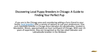 Discovering Local Puppy Breeders in Chicago: A Guide to Finding Your Perfect Pup