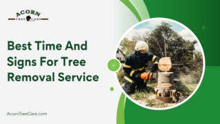 Best Time of Year to Schedule Tree Removal Services Safely