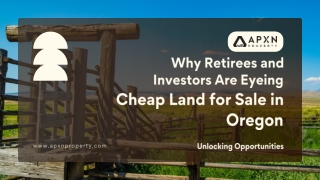 Why Retirees and Investors Are Eyeing Cheap Land for Sale in Oregon