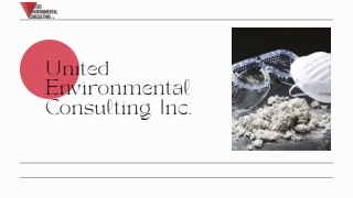 Protect Your Home with Expert Mould Testing Services