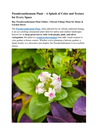 Pseuderanthemum Plant