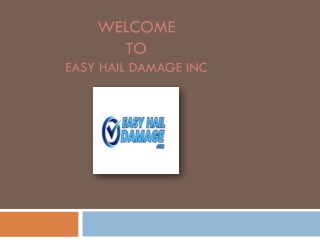 Body Shop Fix Dents | Easy Dent Removal