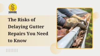 The Risks of Delaying Gutter Repairs You Need to Know