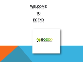 Loofah Sponge Wholesale Supplier | EGEXO