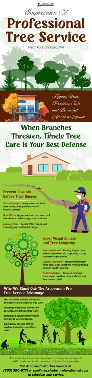 Importance of Professional Tree Service Near Gig Harbor, WA