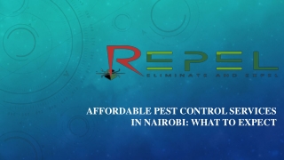 Affordable Pest Control Services in Nairobi: What to Expect
