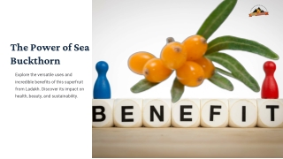 The-Power-of-Sea-Buckthorn.pdf