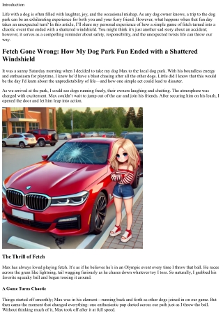 Fetch Gone Wrong: How My Dog Park Fun Ended with a Shattered Windshield