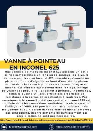 Vanne à pointeau en Inconel 625