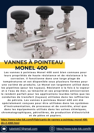 Vannes à pointeau Monel 400