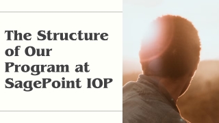 The Structure of Our Program at SagePoint IOP