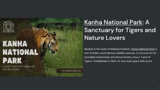 Kanha National Park: A Sanctuary for Tigers and Nature Lovers