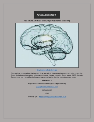 How Trauma Affects the Brain | Paige Bartholomew Counseling