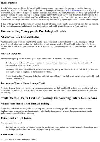 Youth Mental Wellness First Aid Training: Equipping Future Generations